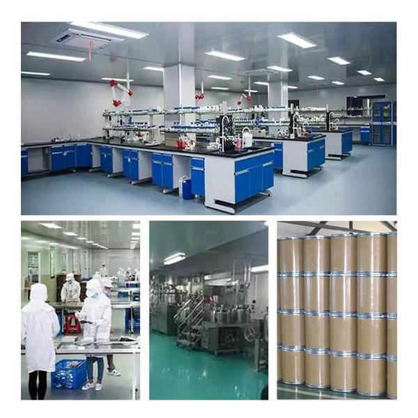 चीन Shaanxi Baisifu Biological Engineering Co., Ltd. कंपनी प्रोफाइल