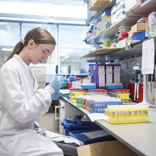 Shaanxi Baisifu Biological Engineering Co., Ltd. कारखाना उत्पादन लाइन