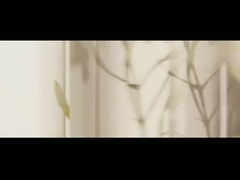 चाय के पेड़ का आवश्यक तेल लैवेंडर का तेल मिंट का तेल कैंफर के पेड़ का मस्तिष्क का तेल गुलाब का आवश्यक तेल यूका