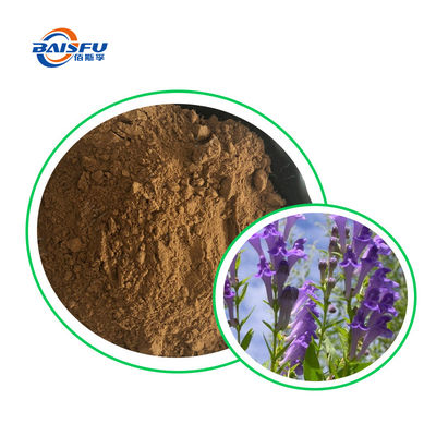 Premium Forskolin Extract 95% – High-Purity Coleus Forskohlii Root Powder