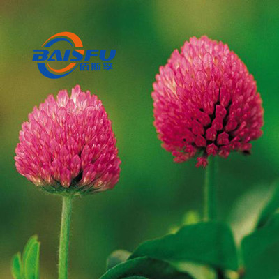 Hot Selling Plant Extract Formononetin Powder CAS 485-72-3 High Quality Formononetin Used Inthe field of medicine