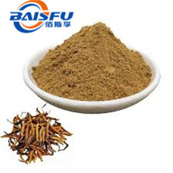 Shaanxi Baisfu herbal plant extract Yellow Brown Powder Polysaccharide 7% Cordyceps Tochukaso Extract Powder Food Grade for food additive and cosmetic