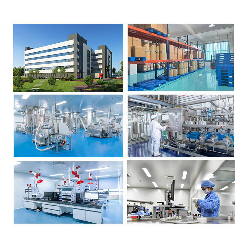 Baisfu  Hot Selling Natural Solanesol 98% Tobacco Leaf Extract Solanesol Extract Powder CAS 13190-97-1 used in Daliy Products