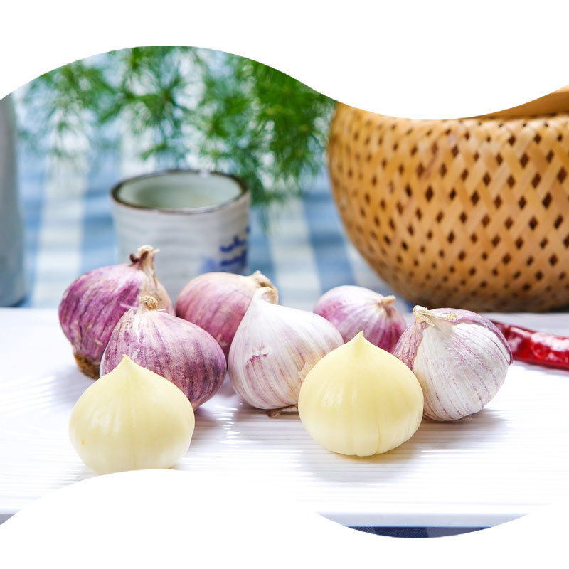 Standardized Garlic Powder Extract | Stable & Odor-Masked | Ideal for Nutraceutical and Feed Additive
