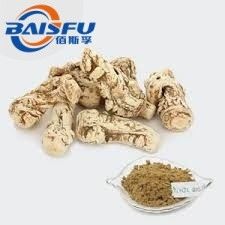Shaanxi Baisfu herbal plant extract Light brown powder Natura Ligustilide 1% HPLP angelica sinensis Extract harmaceutical Grade and Food Grade